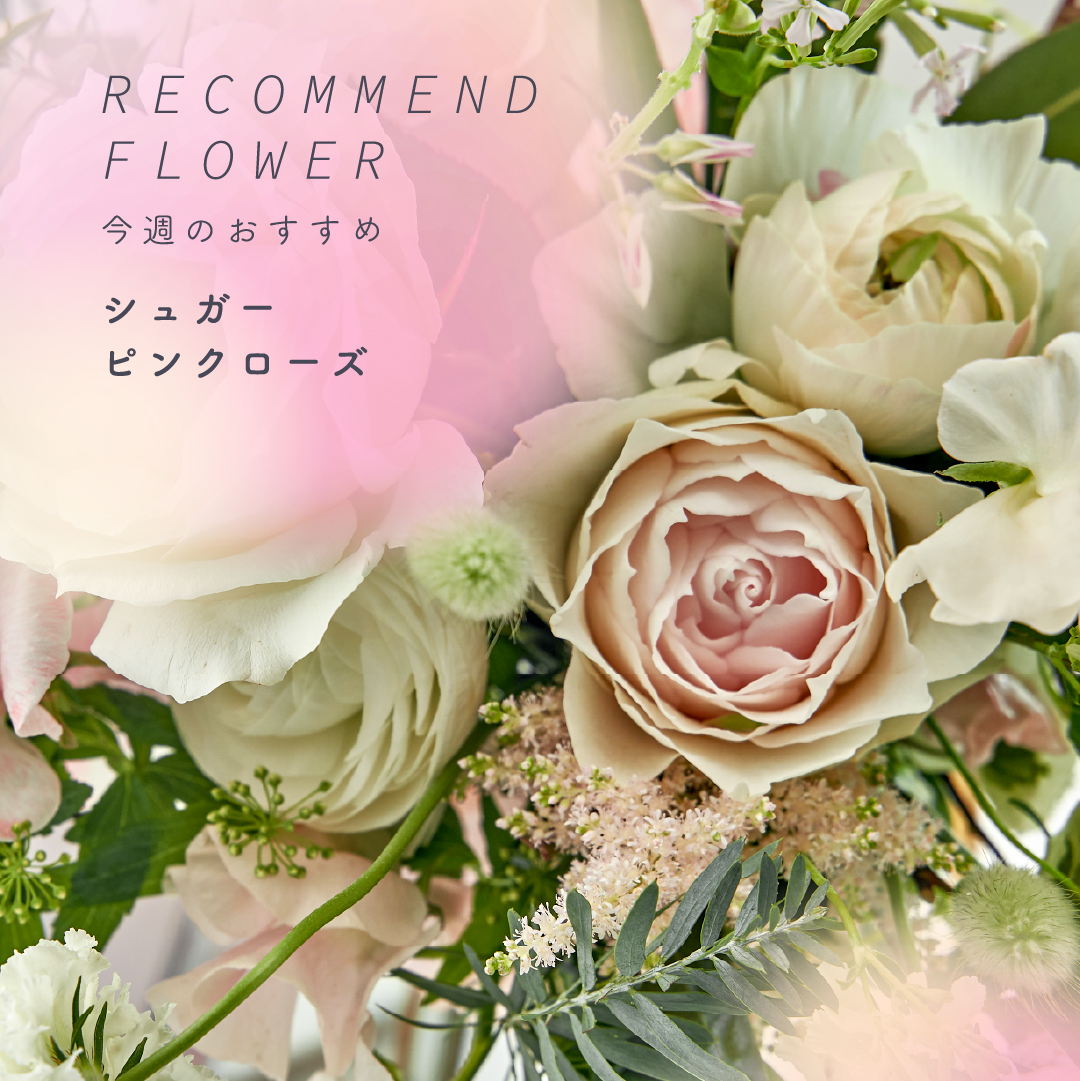 キューブキューブ センソユニコ 花 フラワー総柄レーヨンジップアップジャケット キューブキューブ センソユニコ 花 フラワー総柄レーヨンジップアップ