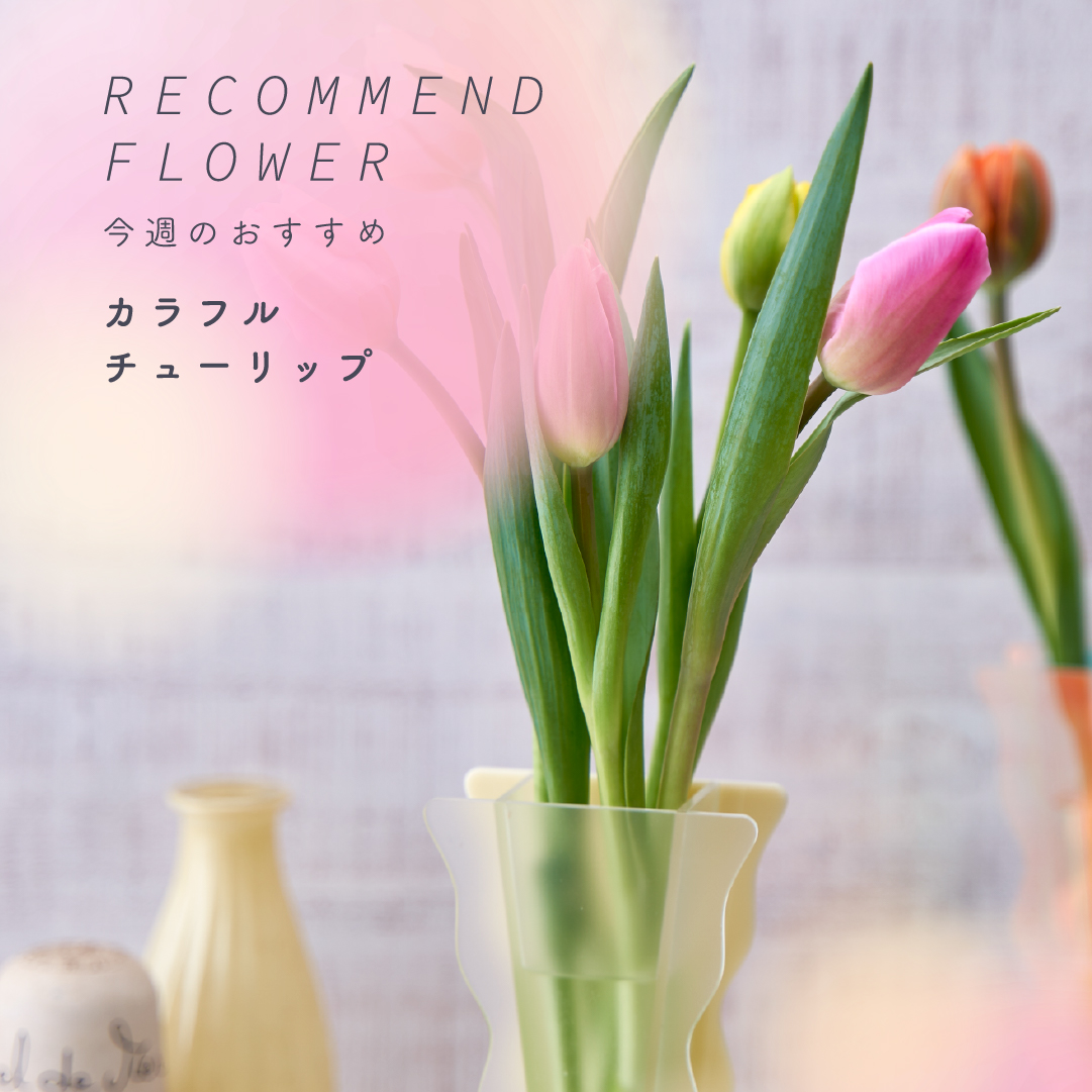 Hibiya-Kadan Style キュービックプラザ新横浜店のNew!一覧ページ