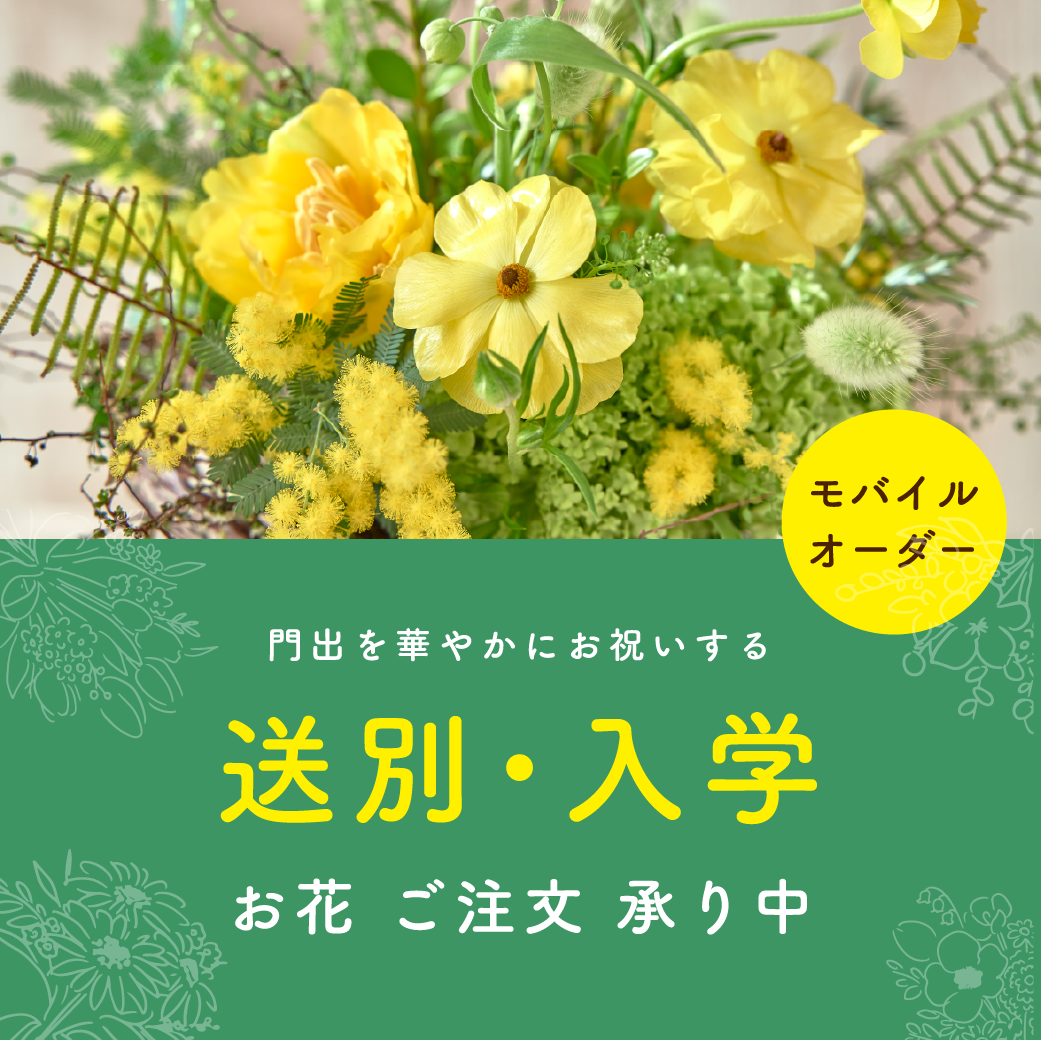 Hibiya-Kadan Style キュービックプラザ新横浜店のNew!一覧ページ