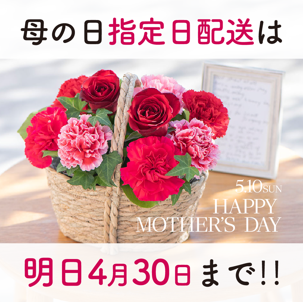 4/30(木)まで】母の日「指定日配送」のご予約はお早めに！ | Hibiya