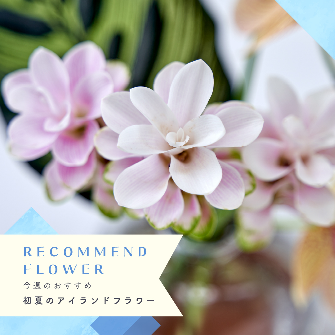 公式】Hibiya-Kadan Style etomoあざみ野店 | 日比谷花壇