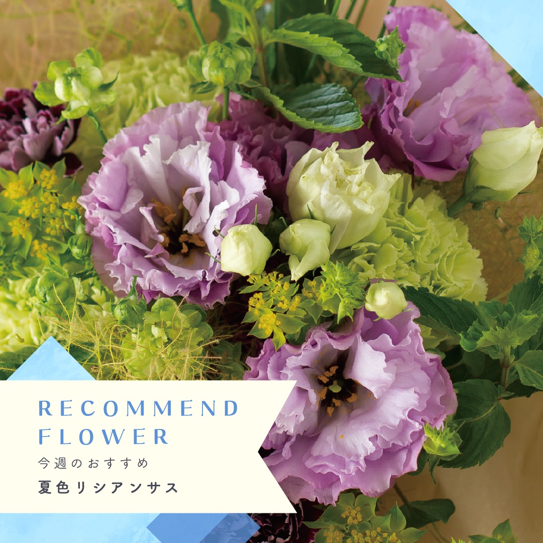 Hibiya-Kadan Style アトレ目黒店のNew!一覧ページ | 日比谷花壇